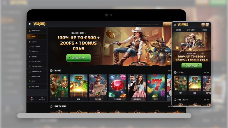 Wildsino Casino NZD deposit options