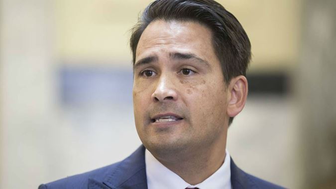 You are currently viewing Simon Bridges and the wokester police commissioner – why he got this wrong